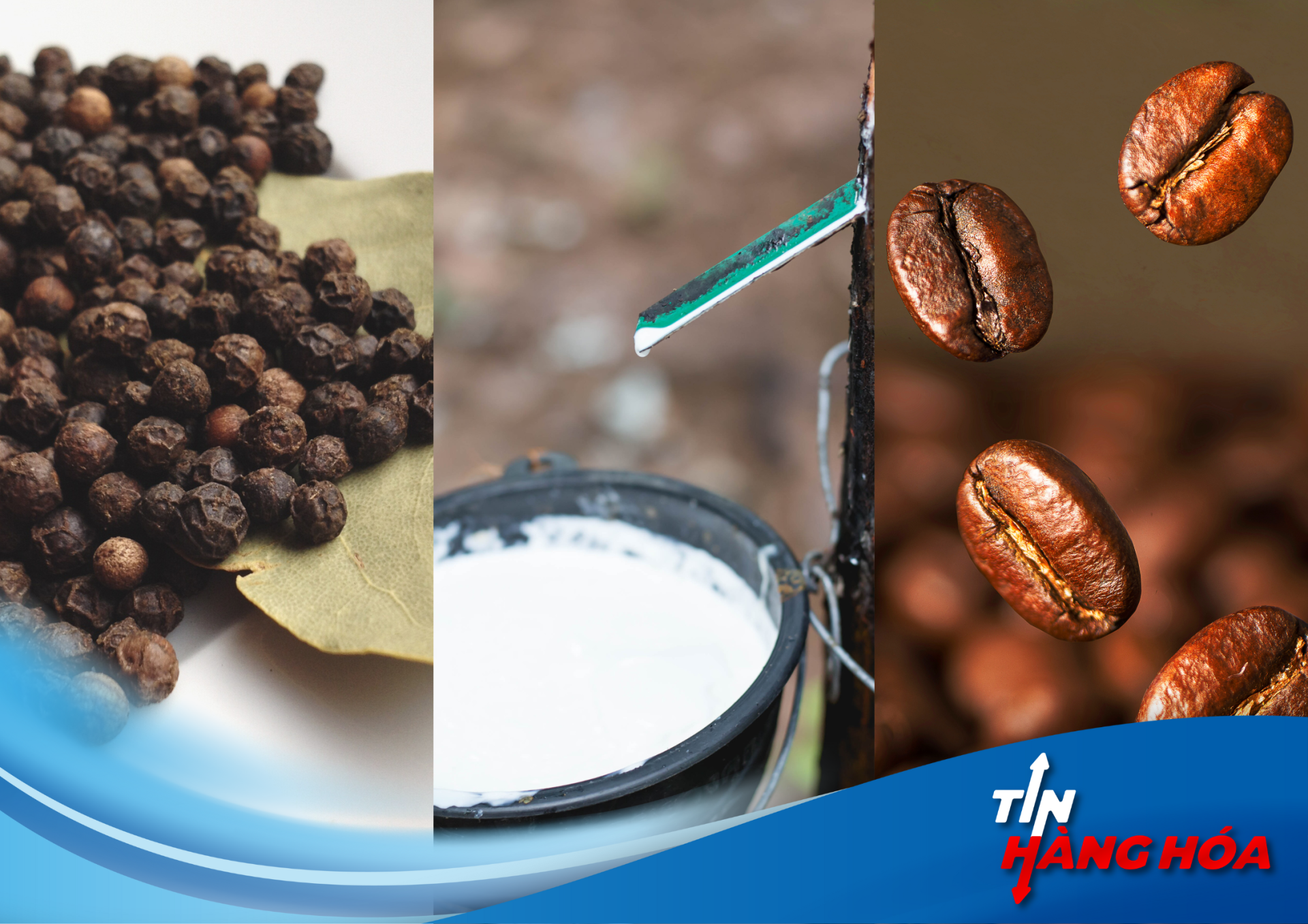 Tình hình giá ngày 29/8: Tiêu ổn định, cao su đảo chiều, cà phê giảm nhẹ